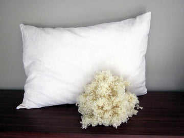 Filled Pillows-14847-Pack of 4